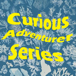 Curious Adventurer Series